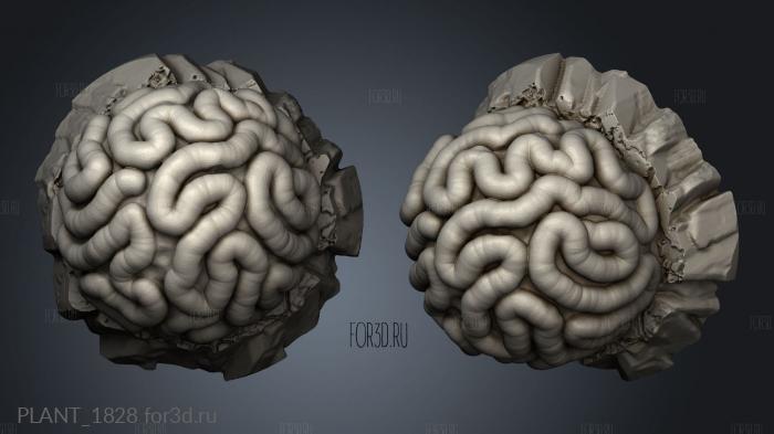 PLANT_1828 stl model for CNC