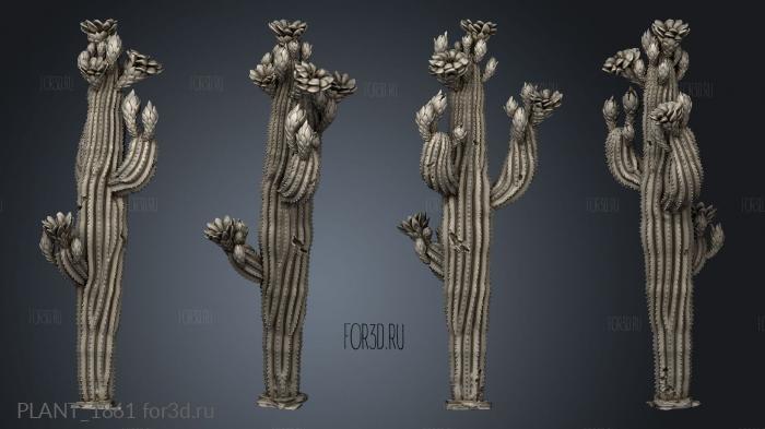 PLANT_1861 3d stl модель для ЧПУ