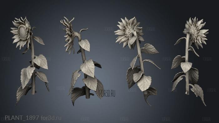 PLANT_1897 3d stl модель для ЧПУ