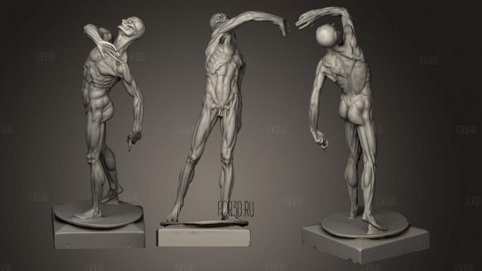 anatomical figure ecorche 3d stl модель для ЧПУ