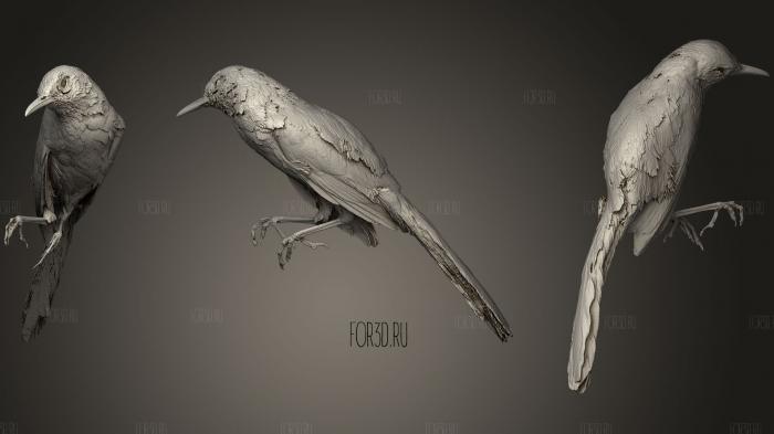 Long billed Thrasher stl model for CNC