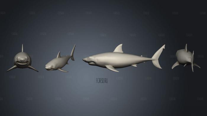 Большая белая акула райкс