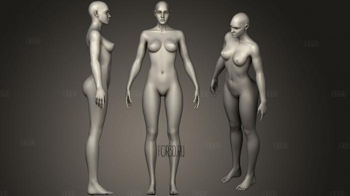 Female Anatomy Human base stl model for CNC