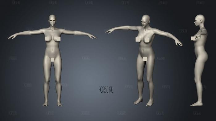 Female without Visceralamp Muscle stl model for CNC