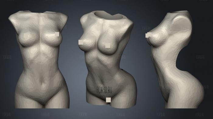 Naked Woman Torso Lighter Case (2) stl model for CNC