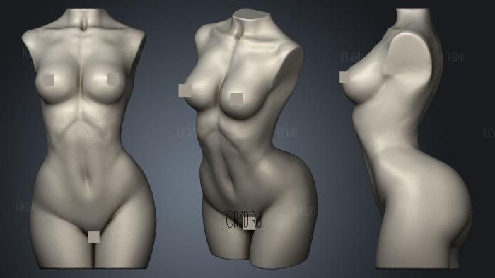 Woman Torso Sculpt (Decimated) stl model for CNC