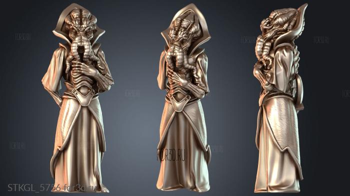 STKGL_5756 stl model for CNC