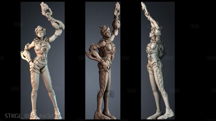 STKGL_8855 stl model for CNC