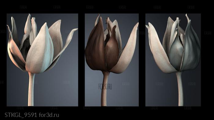 STKGL_9591 3d stl модель для ЧПУ