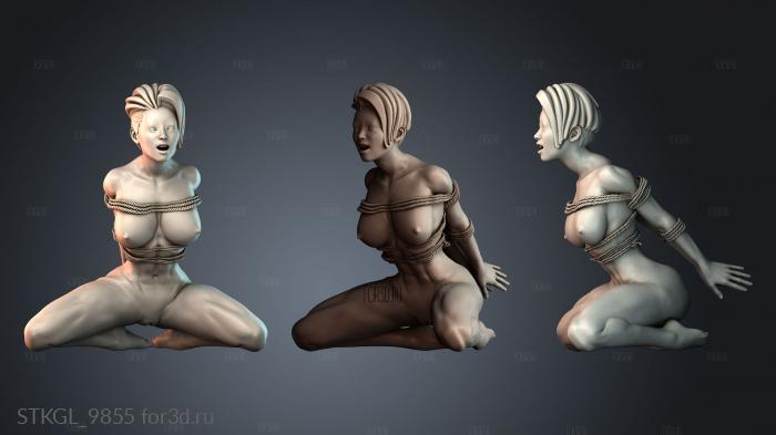 STKGL_9855 3d stl модель для ЧПУ