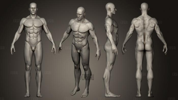 Мужская анатомическая фигура 3d stl модель для ЧПУ