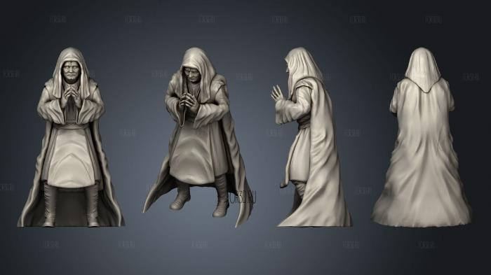 Undying Emperor Passive Pose 1 Hooded Scarred stl model for CNC