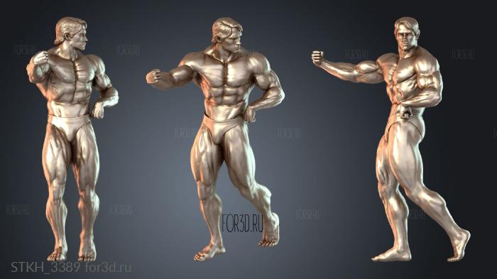 STKH_3389 3d stl модель для ЧПУ