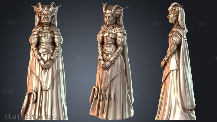 STKH_3539 3d stl модель для ЧПУ