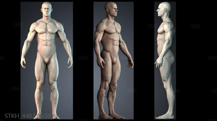 STKH_4487 3d stl модель для ЧПУ