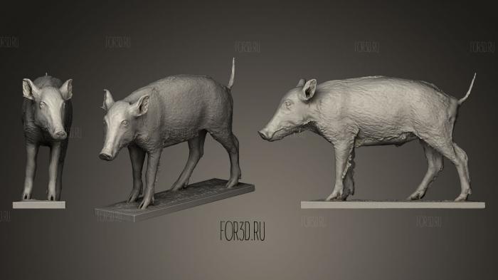 Wild Boar sus Scrofa 3D stl model for CNC