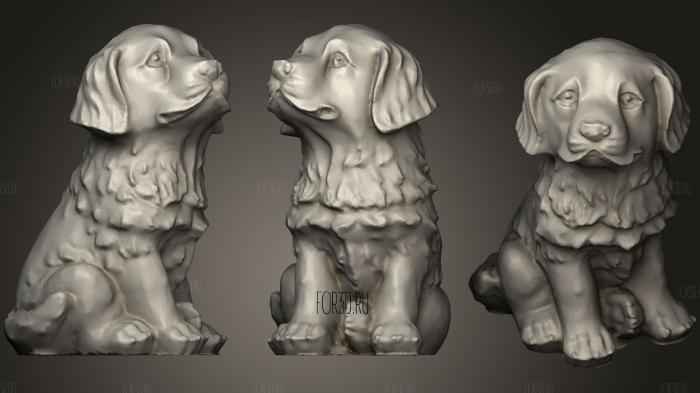 Dog (Golden Retriever Golden Doodle) Puppy 3d stl модель для ЧПУ