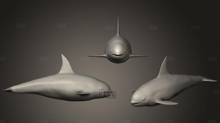 Realistic Killer Whale stl model for CNC