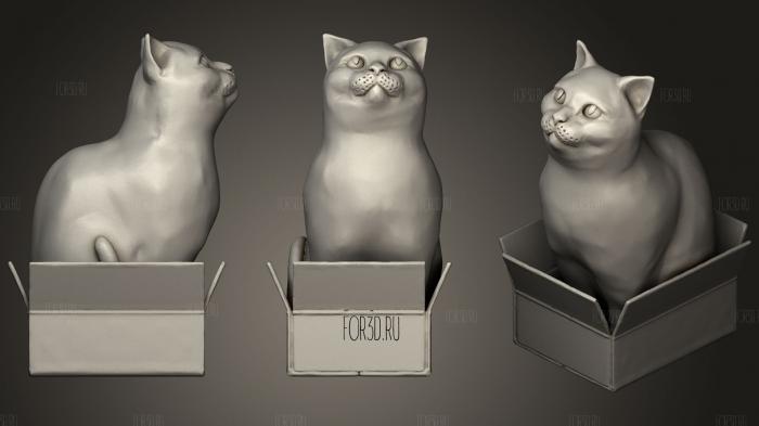 Schrodinky  British Shorthair Cat Sitting In A Box stl model for CNC