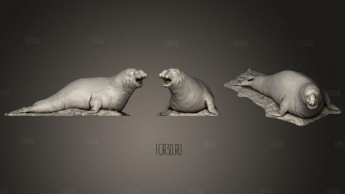 Southern Elephant Seal By Natural History Museum Of Vienna stl model for CNC