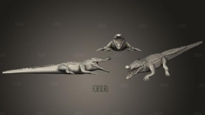 The Ultimate Croc Anatomy