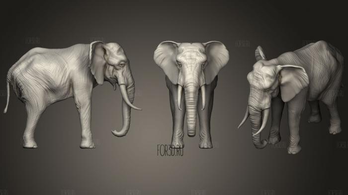 African elephant male stl model for CNC