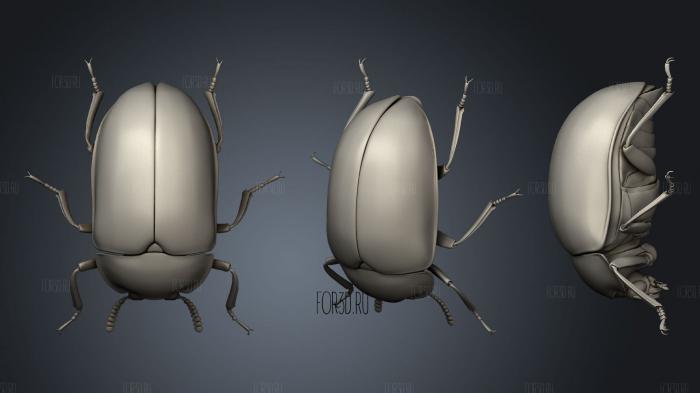 Beetle 6 003 stl model for CNC