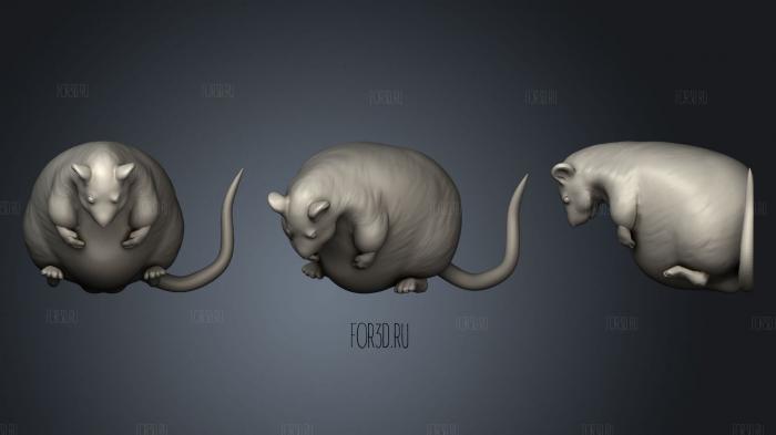 Dumbo Rat And Hamster 3d stl модель для ЧПУ