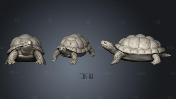 Festering Swamp Turtle 3d stl модель для ЧПУ