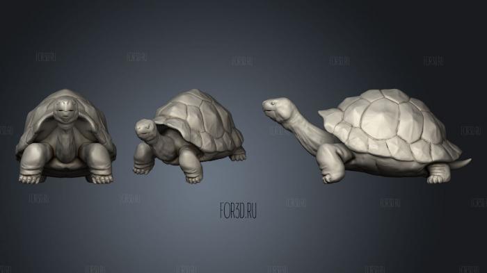 Giant Tortoise 2 stl model for CNC