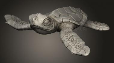 Животное Кожистая Морская Черепаха,вылупляющийся детеныш 3d stl модель для ЧПУ