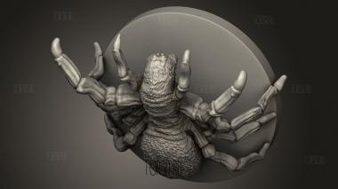 Животные-Пауки 3d stl модель для ЧПУ