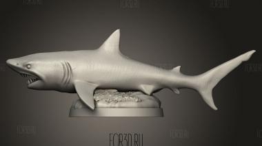 Водные существа Акула 3d stl модель для ЧПУ