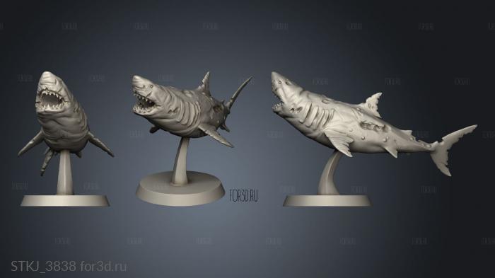 Deep Waters Sharks shark base stl model for CNC