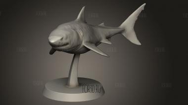 Глубоководные акулы shark 3d stl модель для ЧПУ