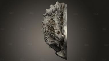 Мертвый Трицератопс 3d stl модель для ЧПУ