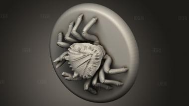 Звериный Краб 3d stl модель для ЧПУ