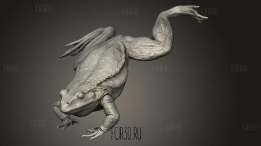 Лягушачья Земля Полна 3d stl модель для ЧПУ