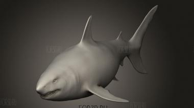 Мегалодон 3d stl модель для ЧПУ