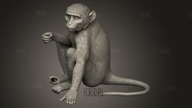 Обезьяна сидит 3d stl модель для ЧПУ