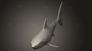 Акула 3d stl модель для ЧПУ