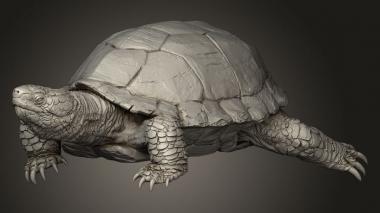 Мышиная Черепаха 3d stl модель для ЧПУ