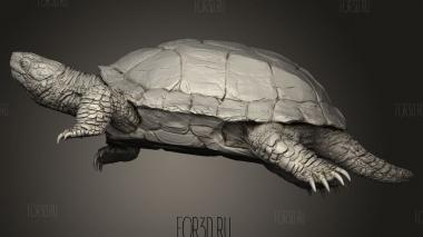 Мышиная Черепаха 3d stl модель для ЧПУ
