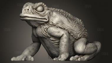 Через Жабу 3d stl модель для ЧПУ