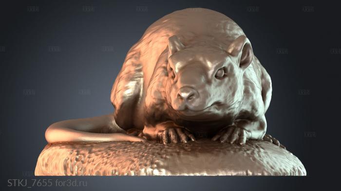 STKJ_7655 stl model for CNC