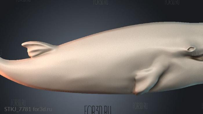 STKJ_7781 3d stl модель для ЧПУ