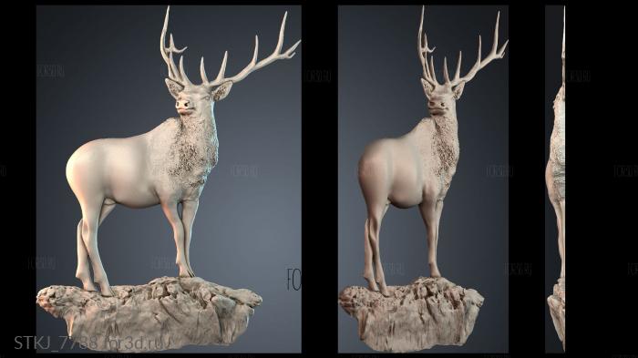 STKJ_7788 3d stl модель для ЧПУ