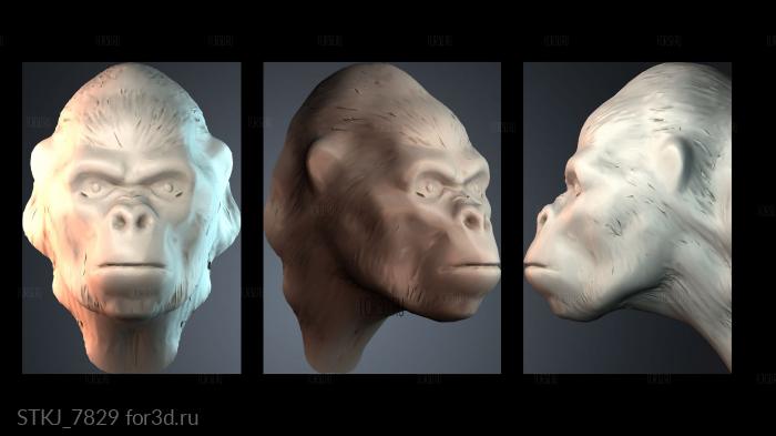 STKJ_7829 3d stl модель для ЧПУ