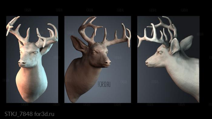 STKJ_7848 3d stl модель для ЧПУ