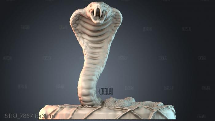 STKJ_7857 3d stl модель для ЧПУ